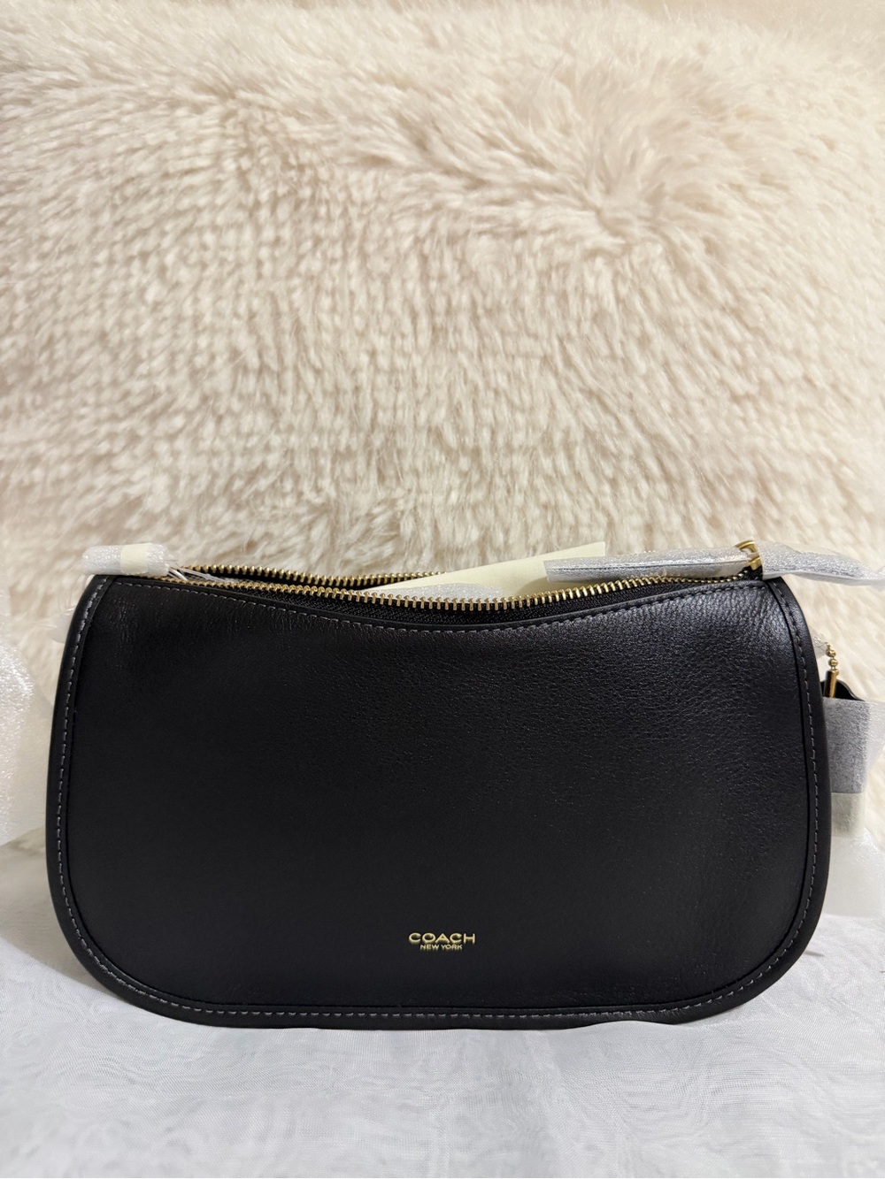 Coach Waverly Bag (BLACK)